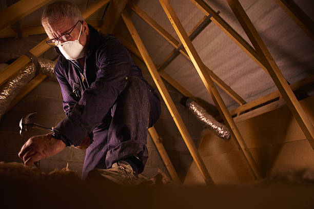 Best Insulation Installation Services in China Lake Acres, CA